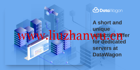 DataWagon：纽约机房独立服务器，E3-1240 V3/32GB内存/240GB SSD/50TB/1Gbps带宽，$39/月-主机之家测评